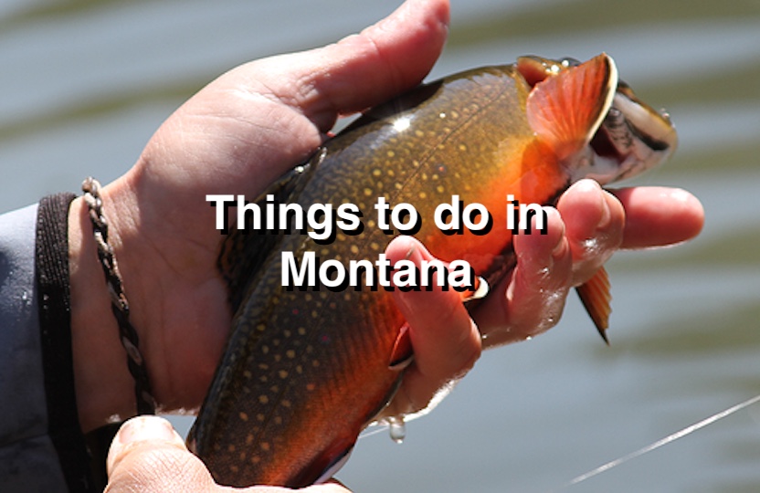 Things to do